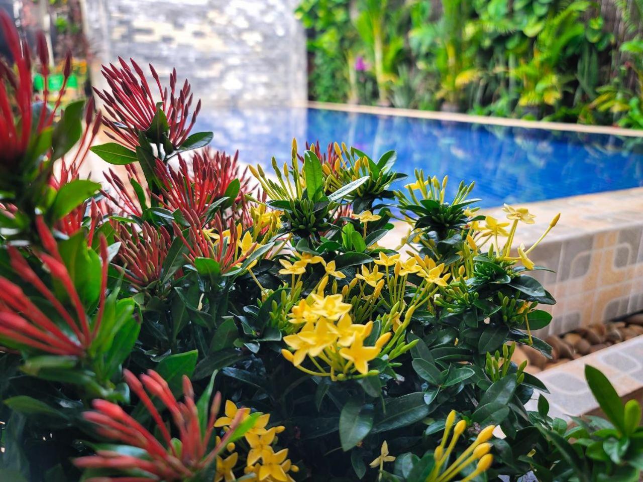 Bed & Bedzzz Vandrerhjem Siem Reap Eksteriør bilde